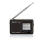 Radio portable multibande MW FM 1-7 SW TRA-2989 Roadstar